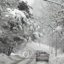 더봄남도집 이미지
