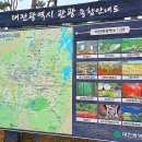 4555 | 대전 뚜벅이 여행이라면 대전시티투어 버스 알짜배기 투어!