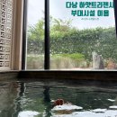 제일성인게임장 | 다낭 하얏트리젠시 리조트 부대시설 사우나 헬스장 아레나게임장 이용방법