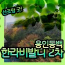 동백사랑공인중개사사무소 이미지