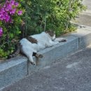 원고잔도서관 이미지