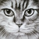 프라자아르떼미술학원 이미지