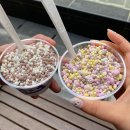 그남자네마카롱 | [창원 구슬아이스크림]상남동 그남자네마카롱에서 다양한 사이즈에 대용량까지
