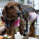 두암한방병원 이미지