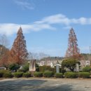 성전중학교 이미지