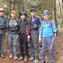 무릉농장 이미지