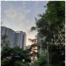 e편한자이부동산공인중개사사무소 | 권선동자이 믿을 수 있는 부동산 전문가의 완벽한 중개 서비스 후기