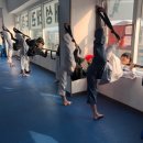 태성태권도장 이미지