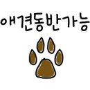 별헤는밤캠핑장 이미지
