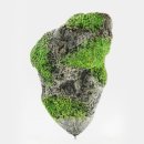 뜨는 돌 이미지