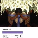 평원 이미지
