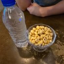 골목집 | 의정부중앙역 맛집 신선한 투플 한우육회와 맛도리안주 골목집 후기