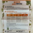 명인한의원 | [내돈내산] 참명인한의원 감비환 구매후기