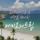 마이요거트립동대구