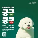 (주)한국약품 이미지