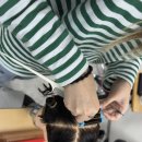 원탑입시학원 | 수원헤어입시학원 서경대 헤어디자인학과 도전!