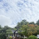 세이모텔 | 제천 국제영화음악축제(JIMFF) 후기