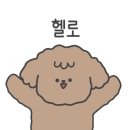 언제나 사랑할개 이미지