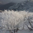 좋은아침 - 북구 | 좋은아침