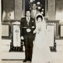 W.5 - 무기력해진 결혼준비, 상견례/아이폰스냅/혼주메이크업