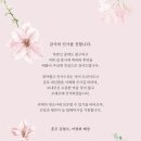 오제디자인 이미지