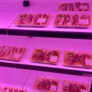 낙안읍성(낙민관 뒤) 화장실 | 순천 신대 고기 맛집 추천 정담은고기, 내돈내산