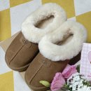롯데백화점샘에델만 | "UGG" 타제트 체스트넛 US6 후기 (KREAM 구매 주의, 인천 어그매장)