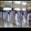 계룡태권도 이미지