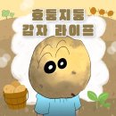 두번째달 | 감자의 26년 두번째 달