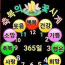 웃자웃자 이미지