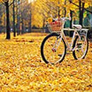 소망해요 이미지