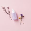 송파행정사 이미지