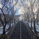 대구 침산동 운동하기좋은곳 산책,러닝 추천_침산공원
