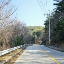 원통생활체육공원 체육관 이미지