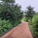 두루미공원 화장실 이미지