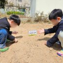 제이그림나라유치원 네이버블로그