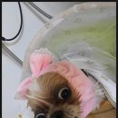 하태PC 이미지