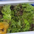 금수농장 이미지