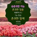 샬롬 Daum카페