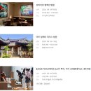 VIP | 2025 키아프프리즈 VIP 관람 후기 총정리