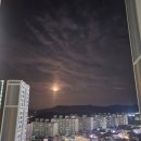 선비꼬마김밥동일스위트점