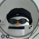 호텔와와 | 6월 나트랑 여행계획 후기 (하바나호텔, 판랑사막투어)