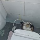 청소반장주 이미지