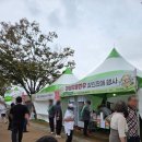 개화-꽃의 노래 | 장성 황룡강 가을꽃축제 기본정보 및 실시간 개화상황 후기