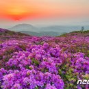 해와달스크린골프존