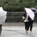 강풍 이미지
