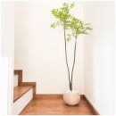 구름이 노는 바다 제주 풀빌라 감성숙소 | 서귀포풀빌라 힐링 명소인 구름이노는바다 제주풀빌라감성숙소 다녀온 후기