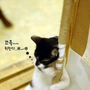 즐거운하루 이미지