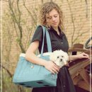 블루캔넬 이미지