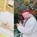안시우 카카오 검색결과